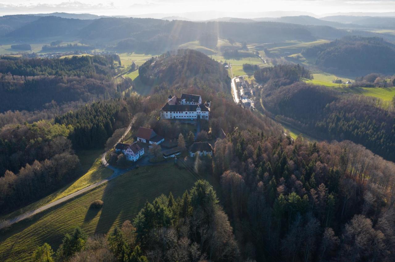 Hotel & Tagungszentrum Schloss Hohenfels Hohenfels  Bagian luar foto