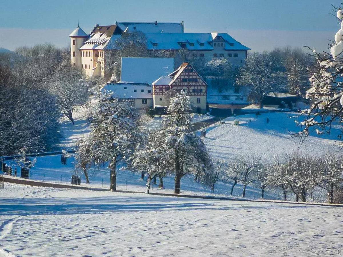 Hotel & Tagungszentrum Schloss Hohenfels Hohenfels  Bagian luar foto