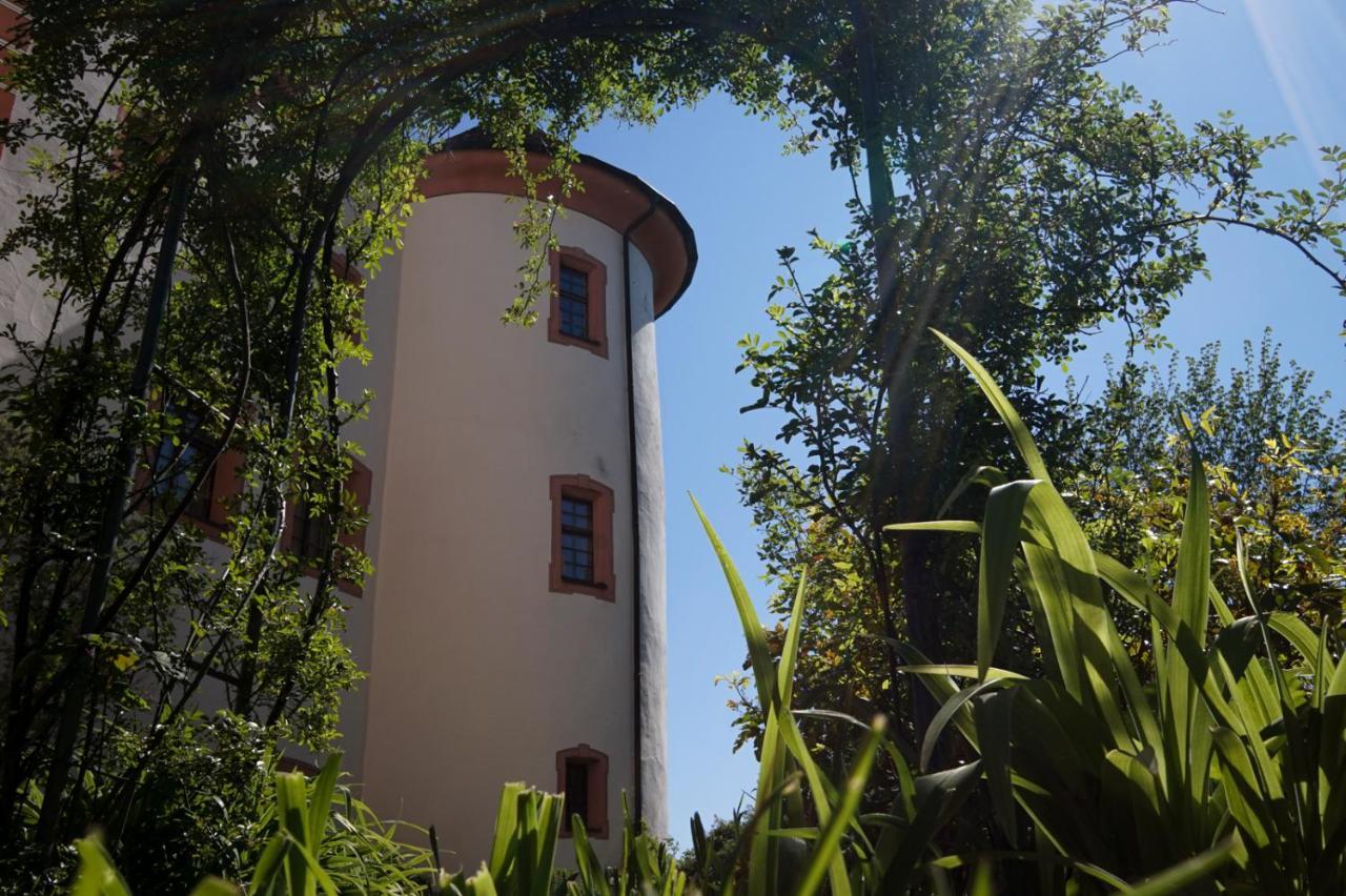 Hotel & Tagungszentrum Schloss Hohenfels Hohenfels  Bagian luar foto