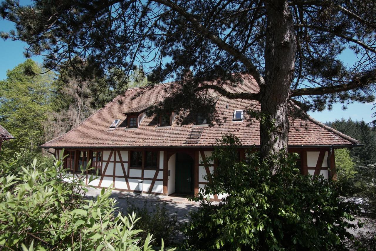Hotel & Tagungszentrum Schloss Hohenfels Hohenfels  Bagian luar foto